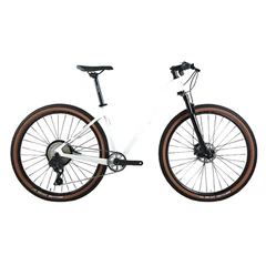 Bicicleta MTB de carbono